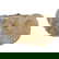 item-210631440=2