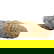 item-210631440=3