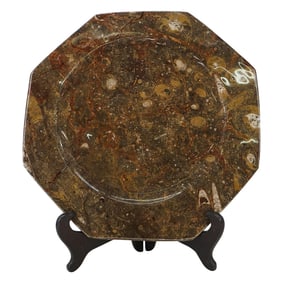 Polished Fossilized Ammonite Plate