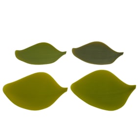 (4 pcs) Covo "Seasons" by Nao Tamura Serving Dish Set