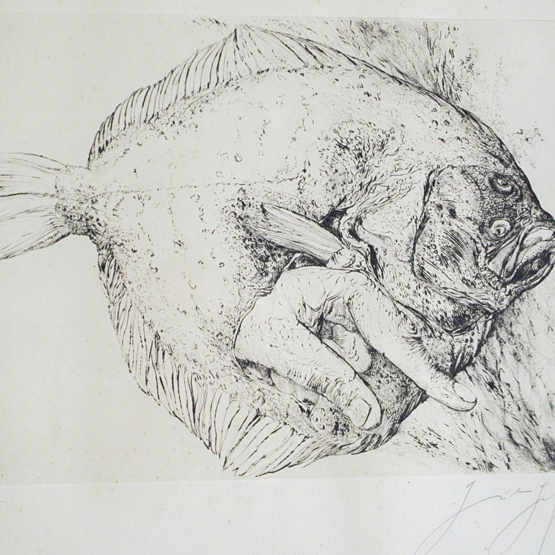 Pair of Gunter Grass (German, 1927-2015) Artist Proof Flounder Lithographs (1 of 6)