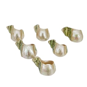 (6 pcs) Natural Shell Monogrammed Napkin Rings
