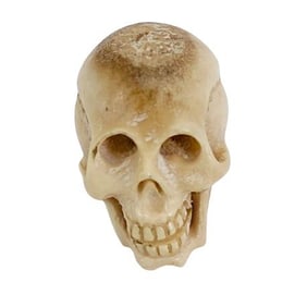 Momento Mori Carved Bone Skull