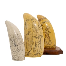 (3 Pcs) Etched Resin Teeth