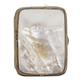 Victorian Mother of Pearl Coin Wallet