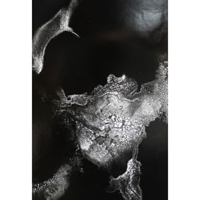 Heinz Hajek-Halke (German, 1898-1983) Albatros Photograph
