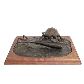 Valerie Meissner Bronze Turtle Sculpture