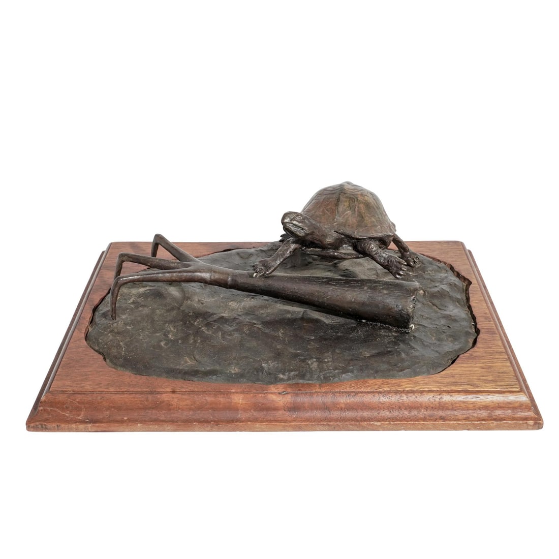 Valerie Meissner Bronze Turtle Sculpture (1 of 5)