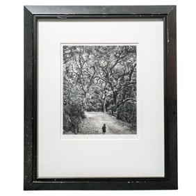 Wynn Bullock (American, 1902-1975) "Child on Forest Road" Silver Gelatin Print
