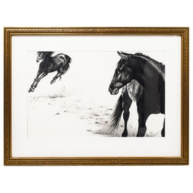 Mary Hetrick-Vecchio (American, 20th c.) Horse Charcoal