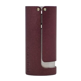 Porsche P 3600 Lighter