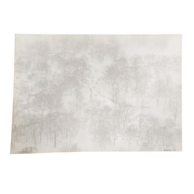 Signed 'Boris G.' Photochrome View of Central Park