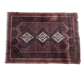 Iranian Hand Woven Wool Area Rug