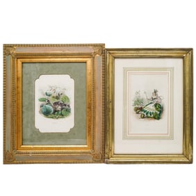 (2 Pc) J. Grandville 'Les Fleurs Animee' Framed Colored Engravings