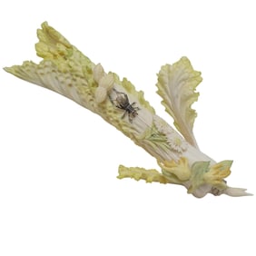 Chinese Carved Bone Bai Cai with Cricket