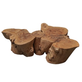 Organic Teak Root Coffee Table w/ Castors