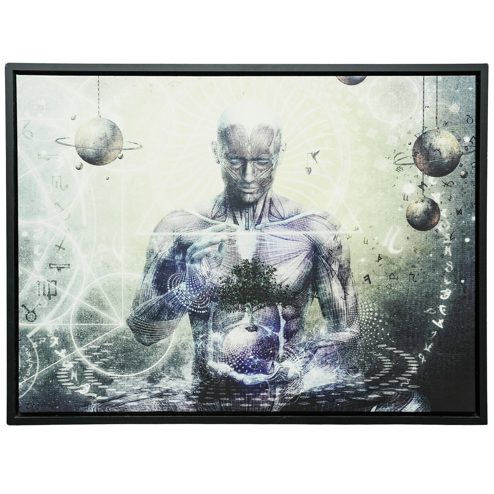 Cameron Gray Framed Giclee “Experience So Lucid Discovery So Clear": Cameron Gray Framed Giclee “Experience So Lucid Discovery So Clear" 20th century , Australian Framed Digital Piece “Experience So Lucid Discovery So Clear" by Australian artist Cameron Gray. It fe