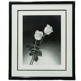 Signed Dick and Diane Stefanich Silver Gelatin on Paper Photograph