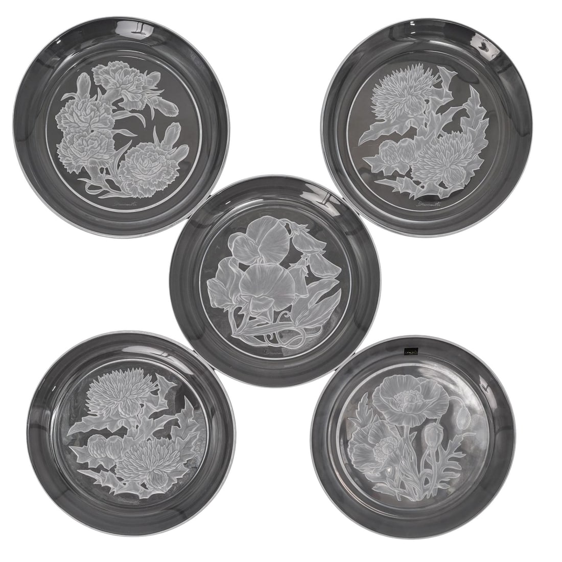 (5 Pc) Hoya Crystal Etched Display Plates (1 of 11)