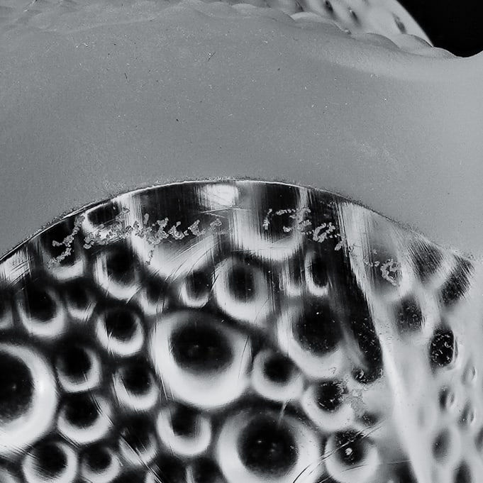 Lalique "Gregory" Crystal Toad Figurine - 6