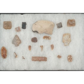 Framed Collection Of Assorted Stones & Artifacts