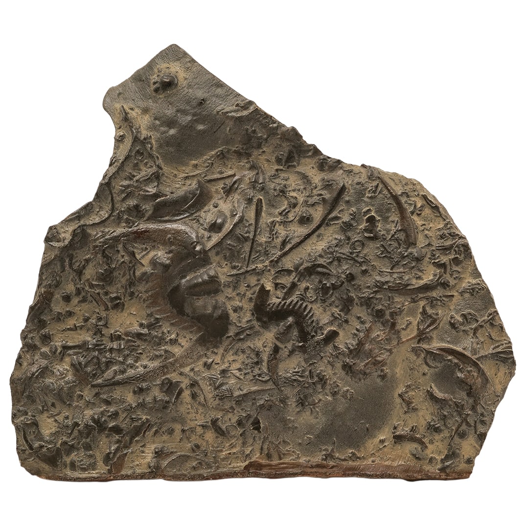 Fossiliferous Rock Matrix Turritella Snail Fossil (1 of 5)