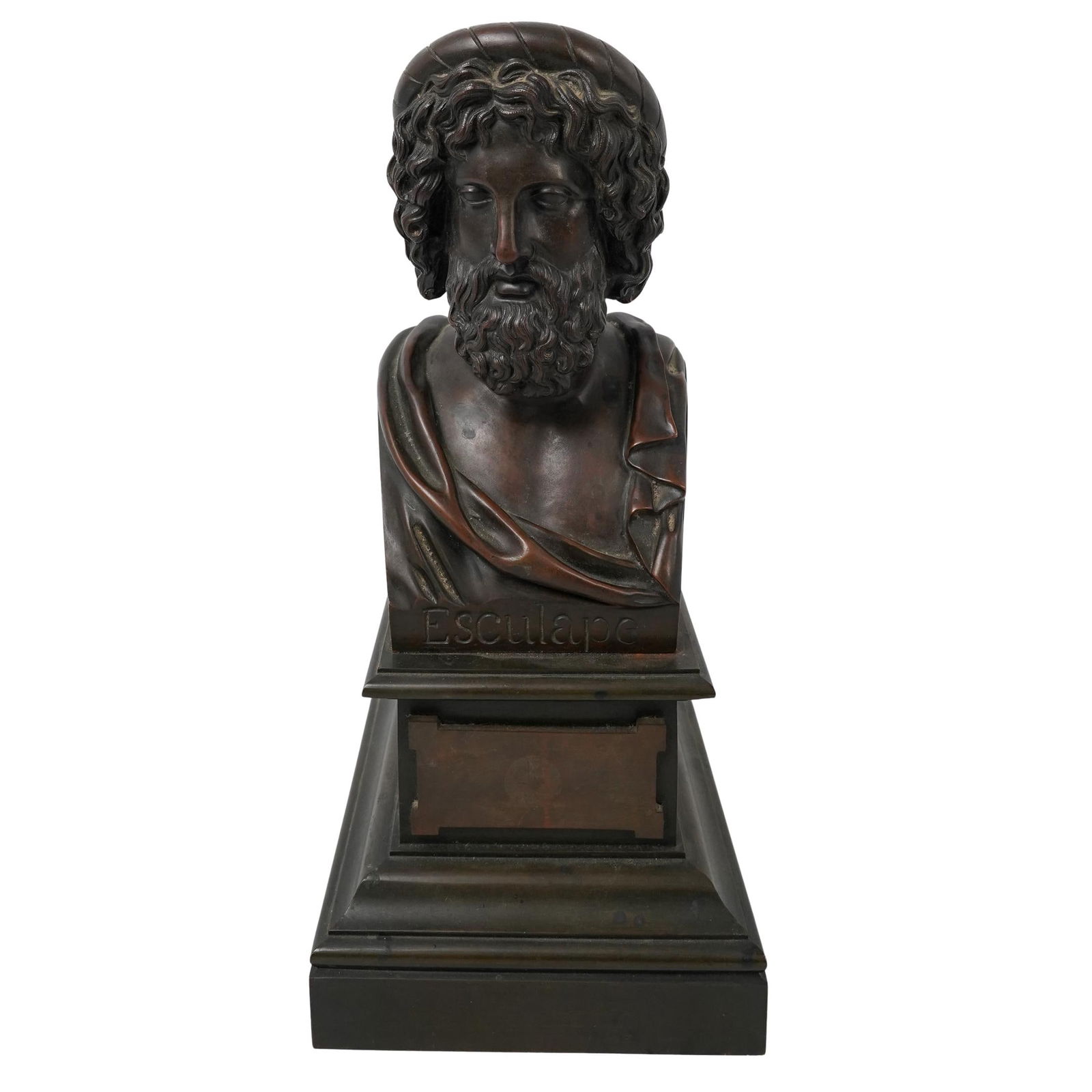 Pierre Joserph Chardigny (French 1794-1866) Bronze Bust (1 of 7)