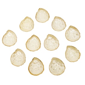 (11 Pc) Porcelain Gilded Oyster Shell Open Salt Cellars