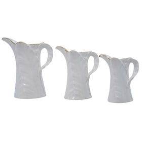 Vintage Royal Worcester Porcelain “Fern Leaf?? Pitcher Set