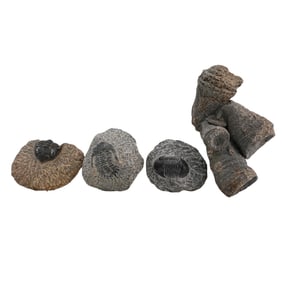 (4pc) Carved Stone Trilobite Fossil And Coral Sculptures