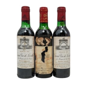 (3 pc) Vintage Collectible French Wine Bottles