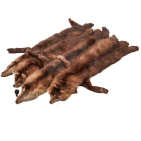(4 Pc) Vintage Marten Fur Pelts