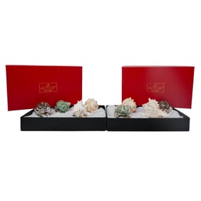 (8 pc) Hans Turnwald Seashell Napkin Rings