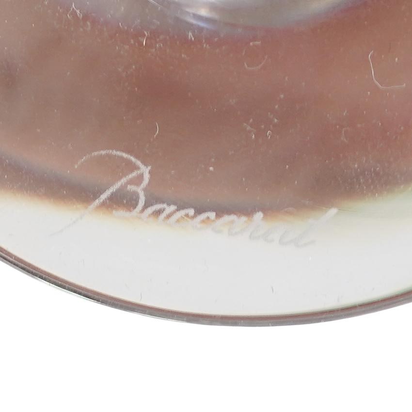 Baccarat Crystal x Savinel & Roze "Vega Flutissimo" Champagne Flutes - 6