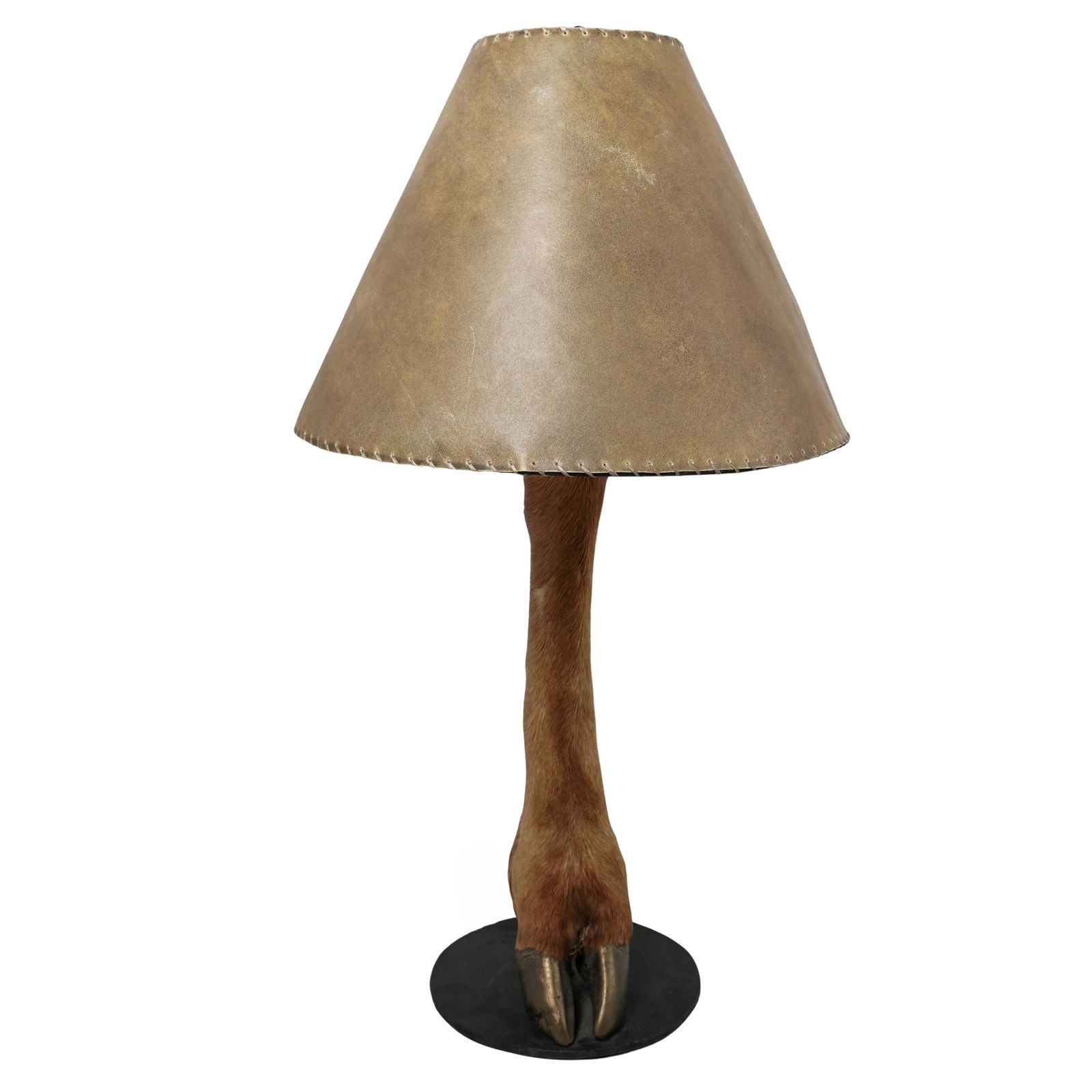 Taxidermy Deer Hoof Table Lamp (1 of 8)