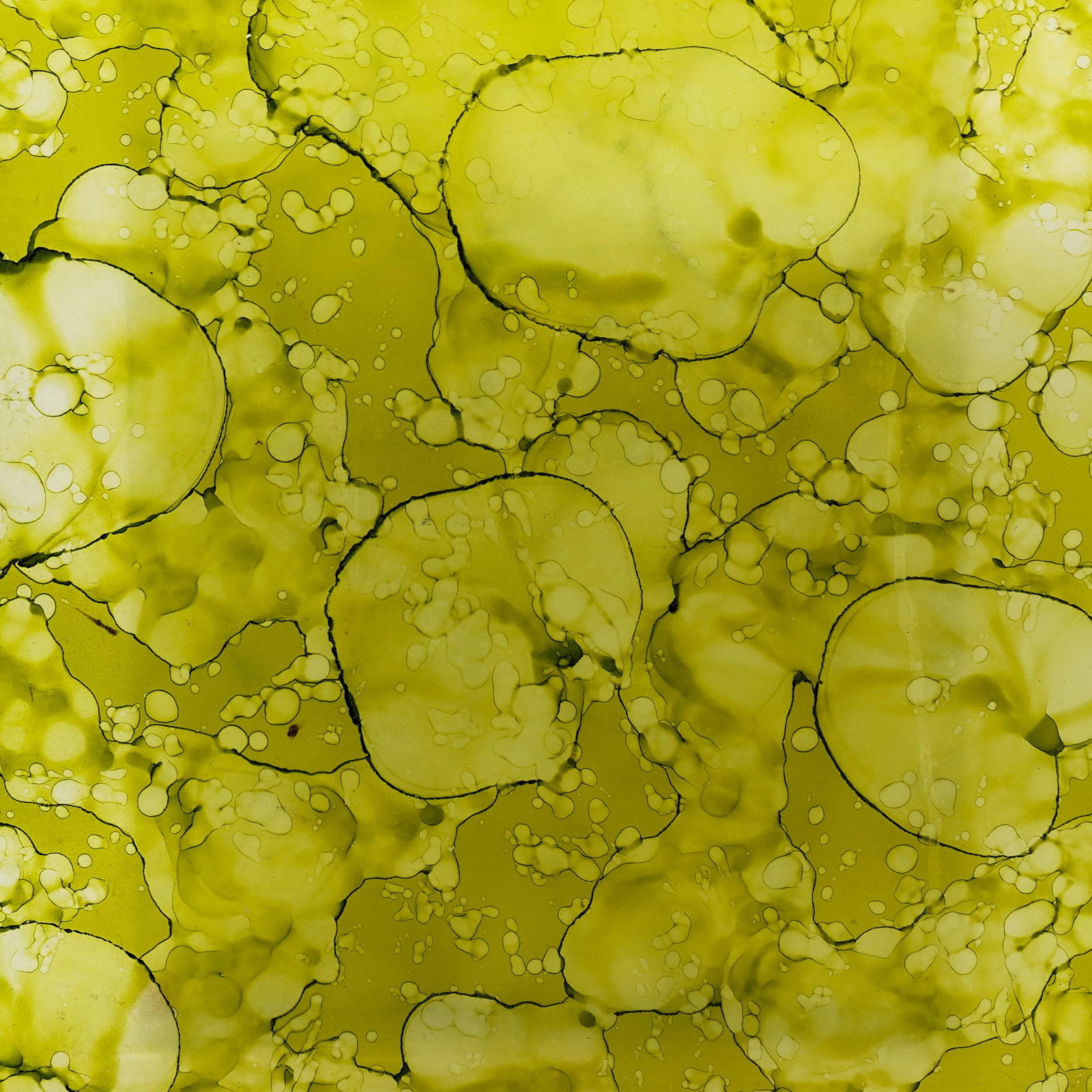 Glassisimo "Ponticello" Green Side Table - 3