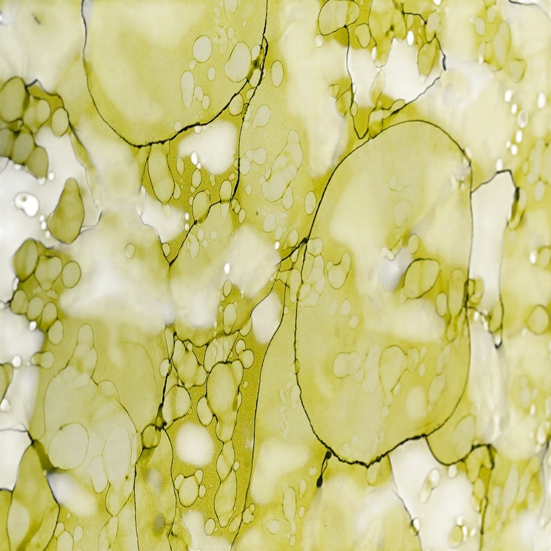 Glassisimo "Ponticello" Green Side Table - 6