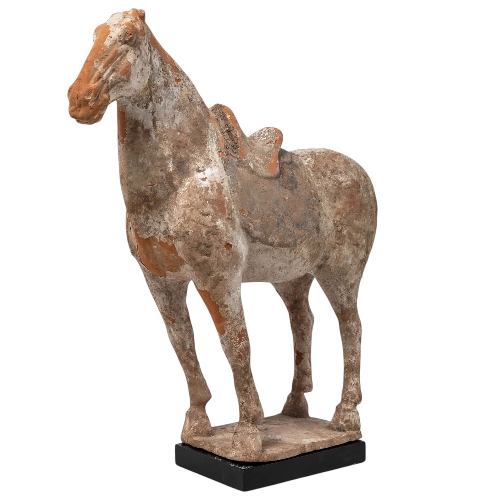 Chinese Tang Dynasty Horse Funerary Tomb Sculpture (1 of 7)