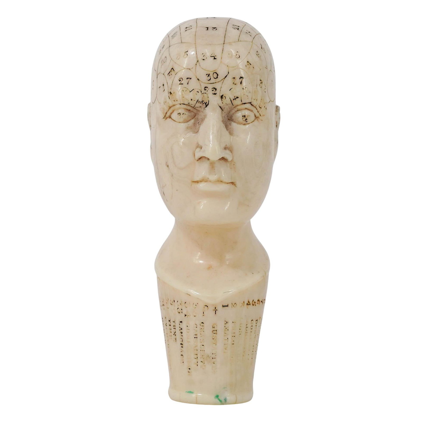 Antique 19th Cent. Carved Bone Phrenology Bust (1 of 4)
