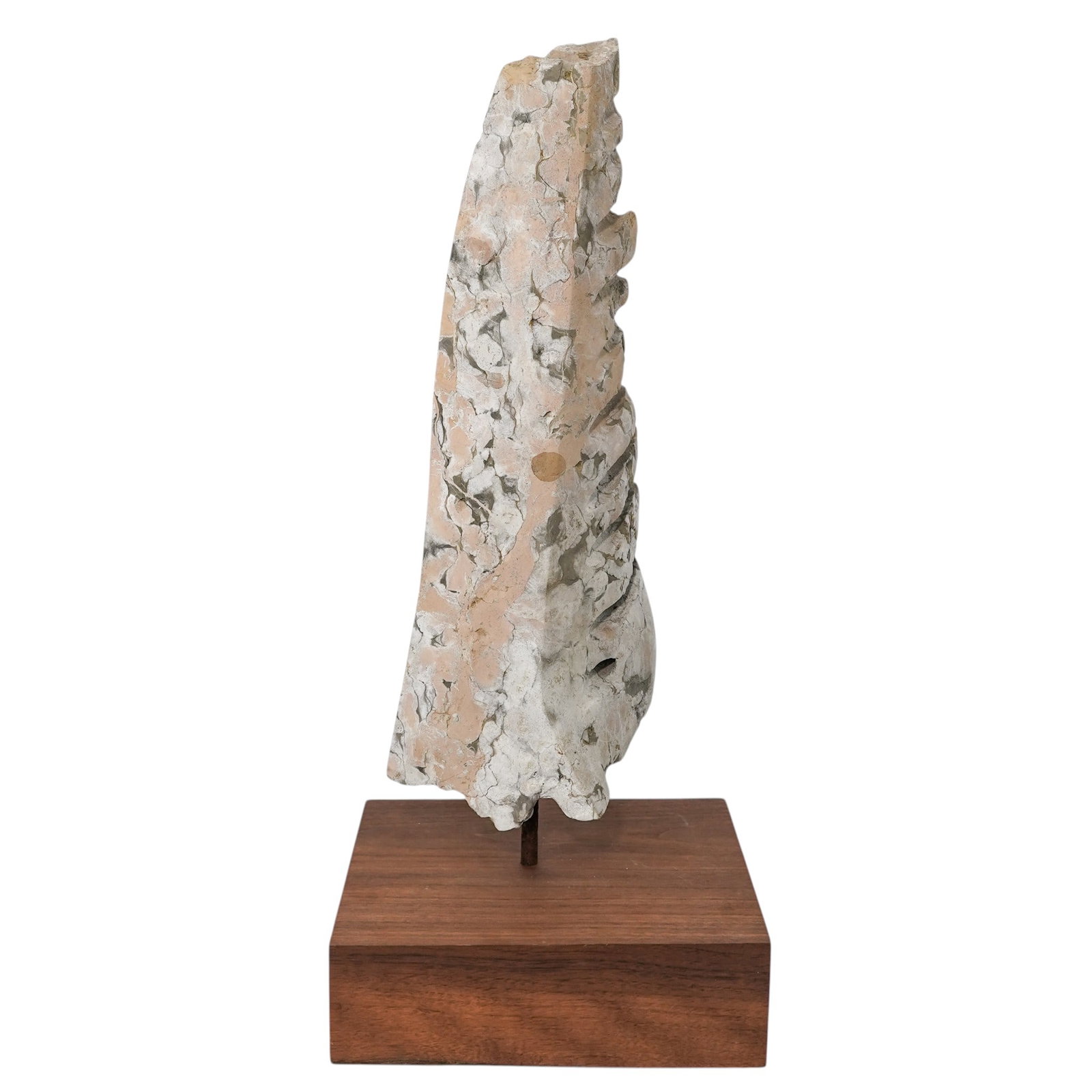 Bernard Garniez Untitled Fossiliferous Limestone Sculpture (1 of 5)
