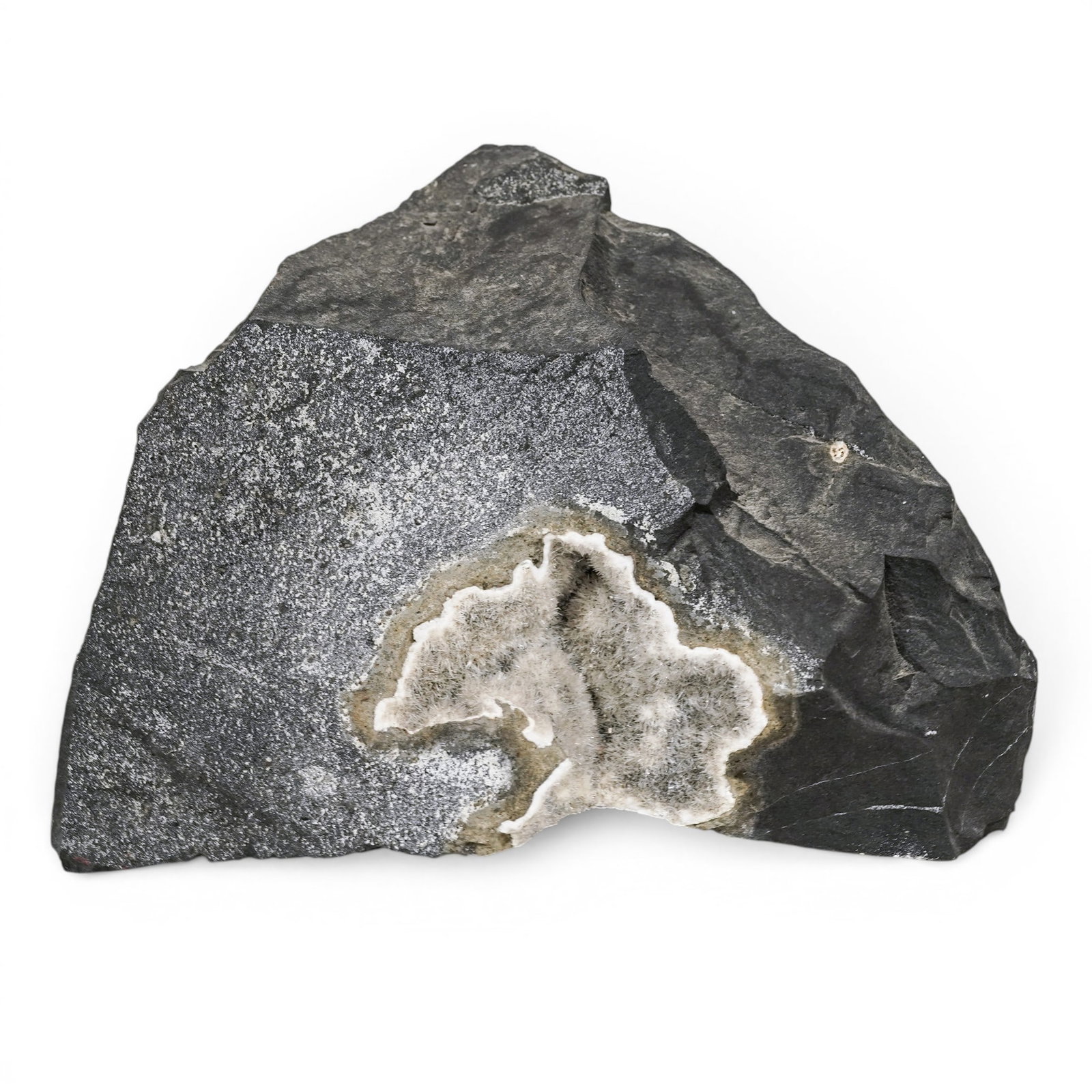 Black Amethyst Geode Specimen: Black Amethyst Geode Specimen A natural black amethyst geode specimen, presented as a cut and polished section revealing a crystalline interior. The exterior retains its rough, basaltic matrix,