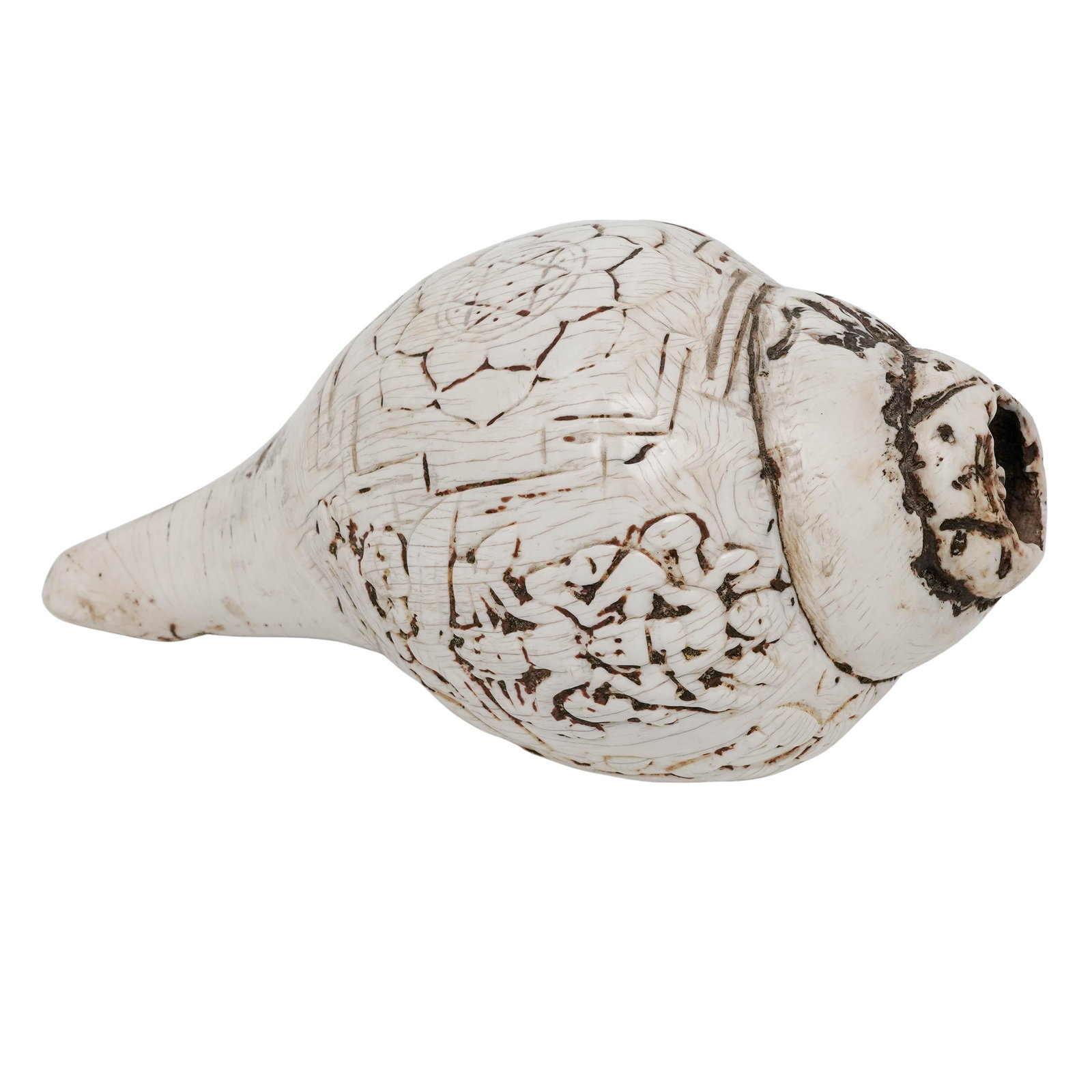 Antique Southeast Asian Carved Conch Shell (1 of 8)