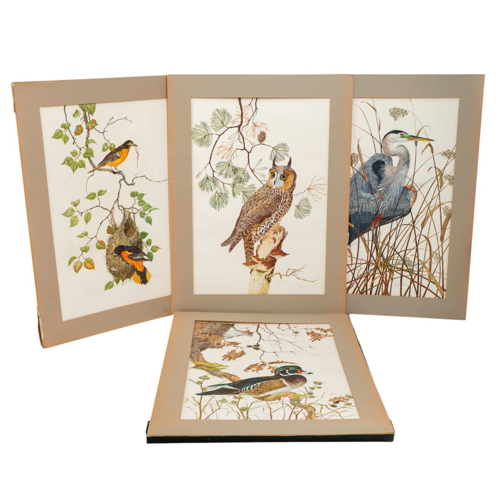 (5 pc) Robin Hill (Australian, 1932-), 'Birds' Lithograph Portfolio (1 of 14)