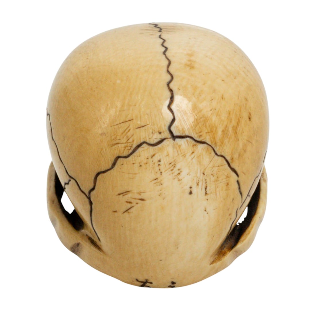 Japanese Carved Bone Netsuke Skull - 3