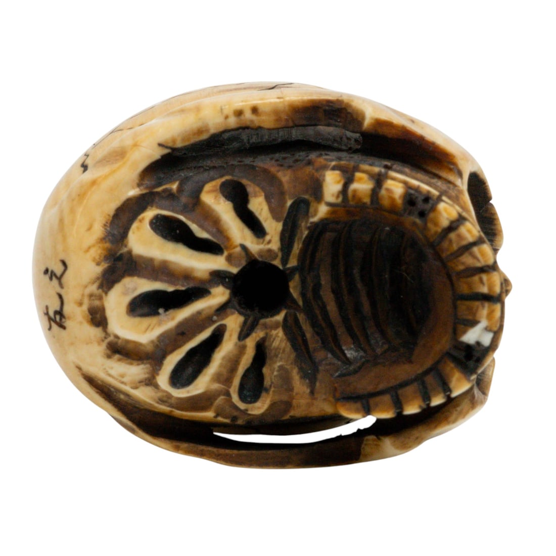 Japanese Carved Bone Netsuke Skull - 5