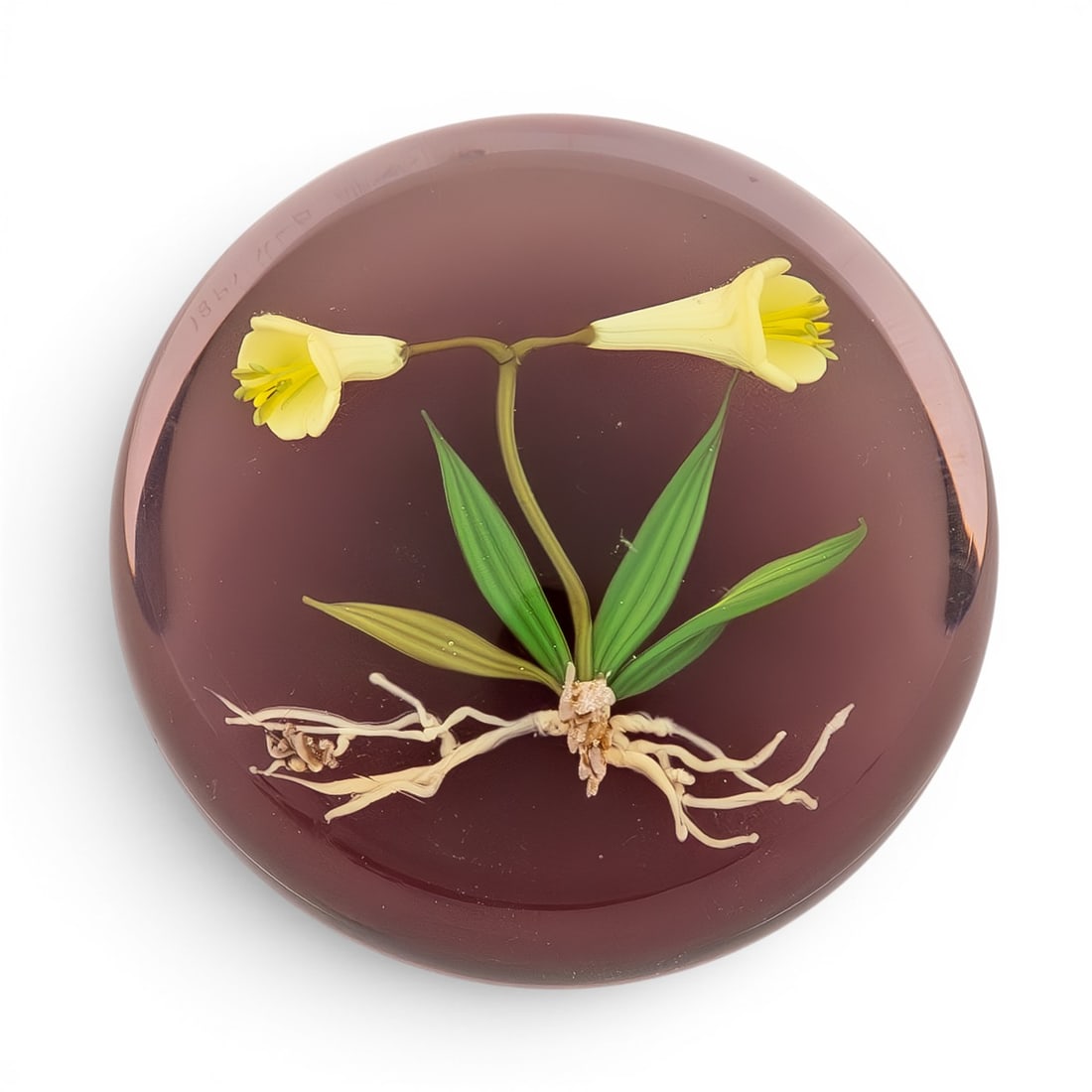 Limited Edition Paul Stankard Orchid Glass Paperweight (1 of 8)