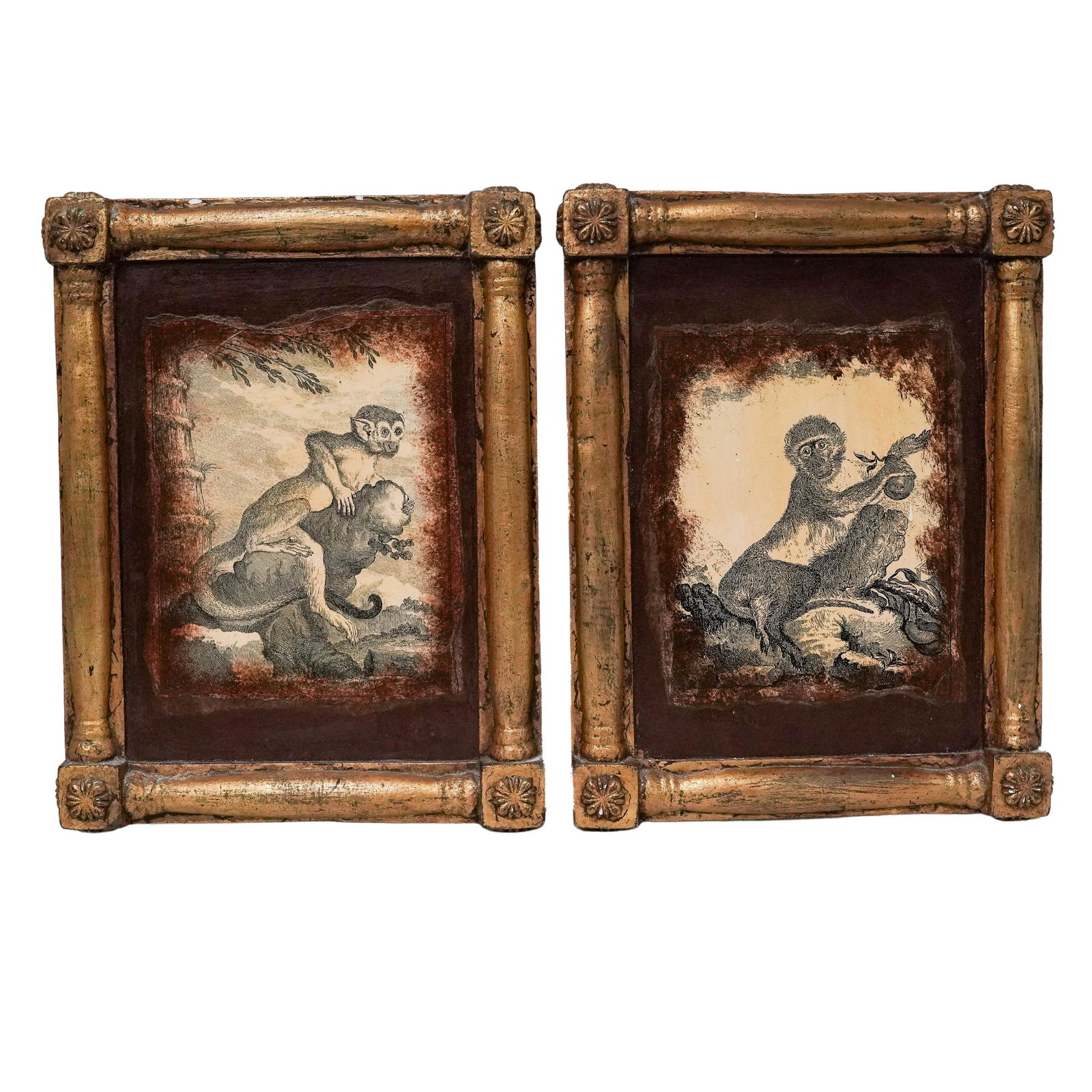 (2 Pc) Georges-Louis Leclerc Attr. Monkey Engraving Plaques: (2 Pc) Georges-Louis Leclerc Attr. Monkey Engraving Plaques 20th c., France Pair of naturalist etchings titled "Le Saimiri" (Squirrel Monkey) and "Le Patas A Bandeau Blanc" (White-Banded Patas Monkey)