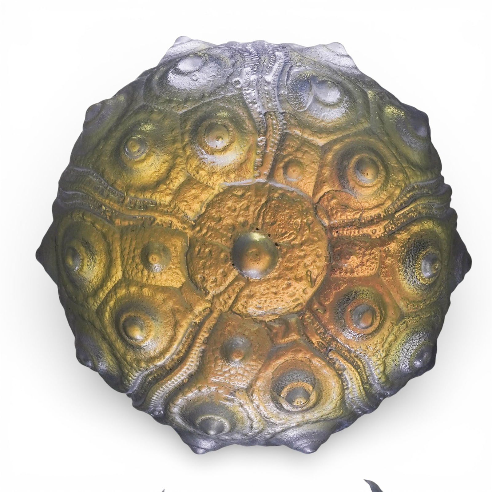 Robin Lehman Sea Urchin Sputnik Paperweight (1 of 7)