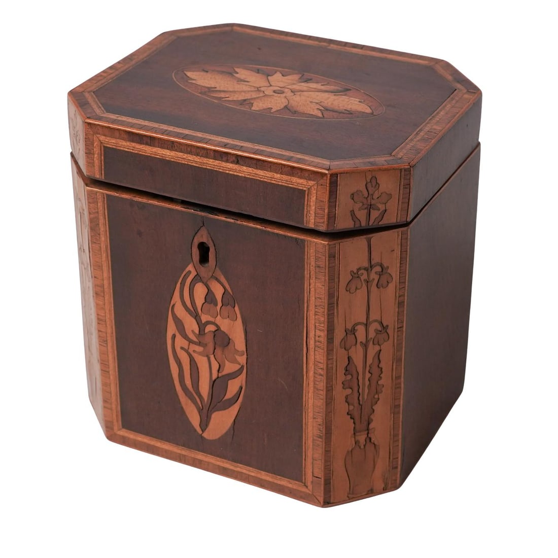 English Georgian Inlaid Wood Tea Caddy (1 of 7)