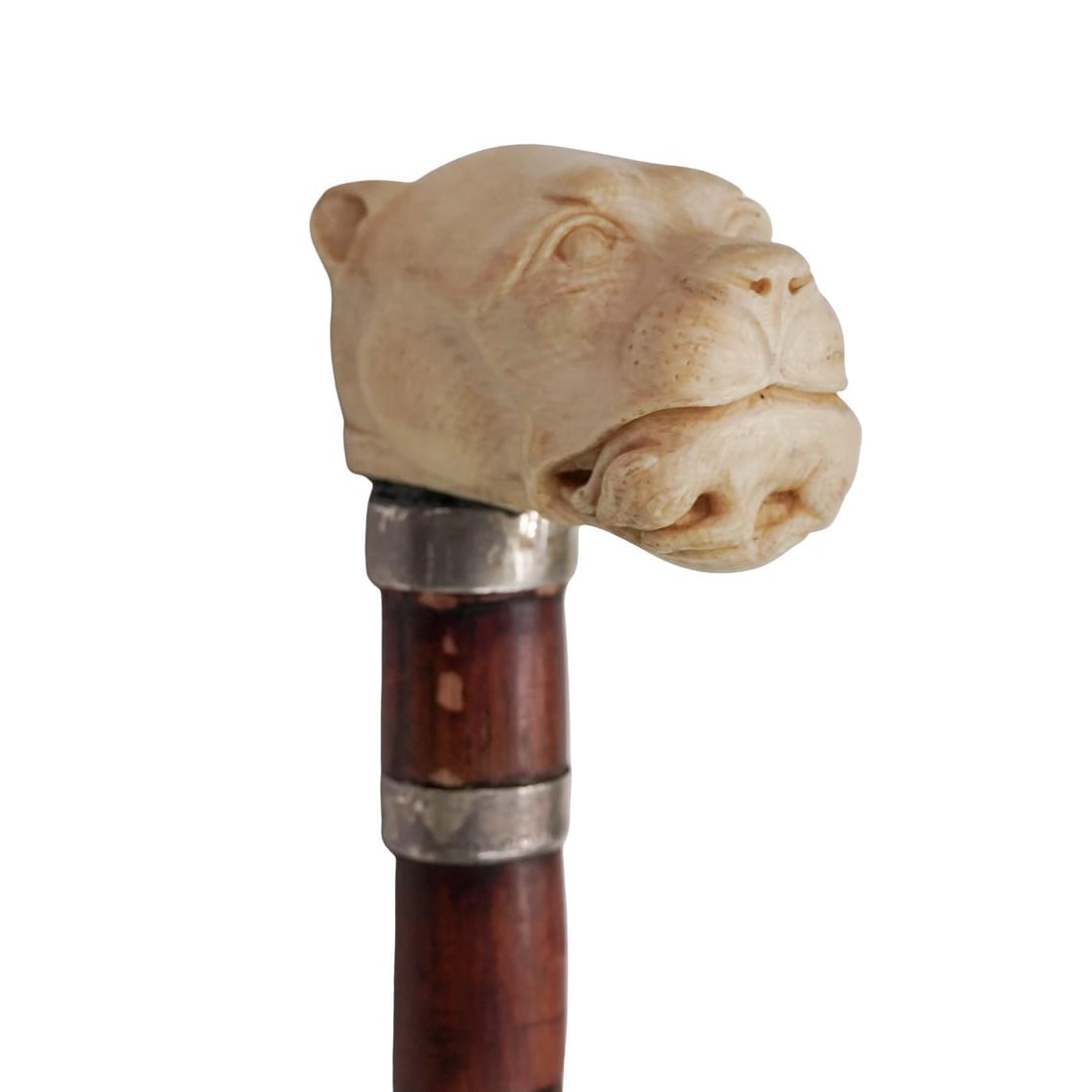 Synyer & Beddoes Carved Bone & Sterling Silver Canine Cane (1 of 5)